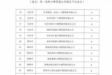 再获殊荣！双鑫小贷公司获评为湖南省2021年度A类小额贷款公司