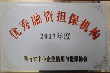 2017年度优秀融资担保机构