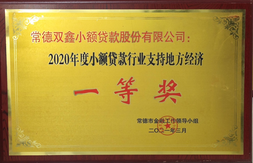 常德双鑫小额贷款股份有限公司：2020年度融资担保行业支持地方经济一等奖